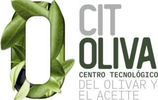 Avada Modern Shop Demo